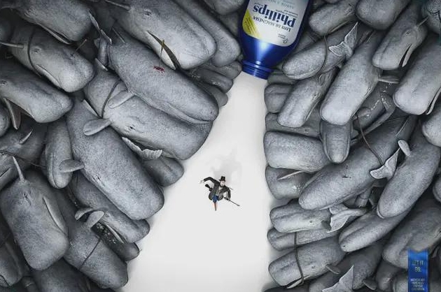 开放数字广告联播网加盟！AI排期+程序化投放，打造本地媒体新入口